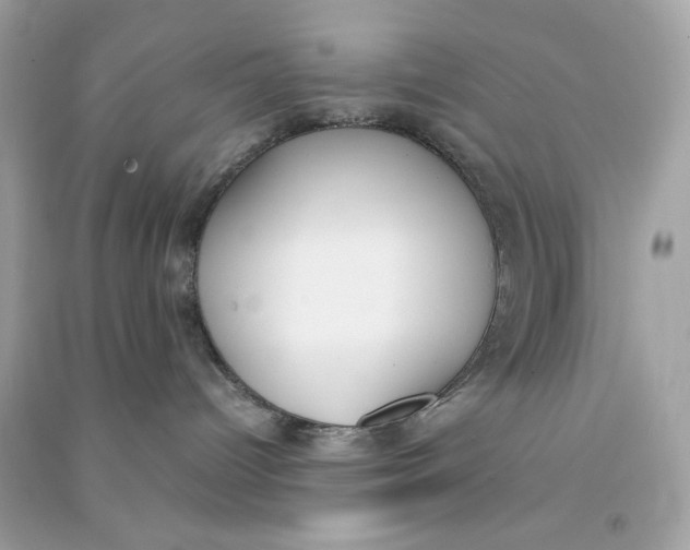 X0000090740096200708101712