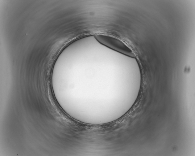 X0000090740097200708101711