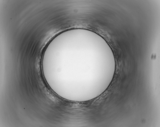 X0000090740098200708101711