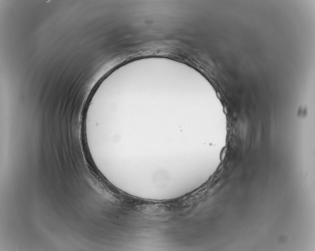 X0000090740100200708101711