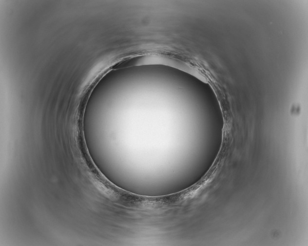 X0000090740101200708101711