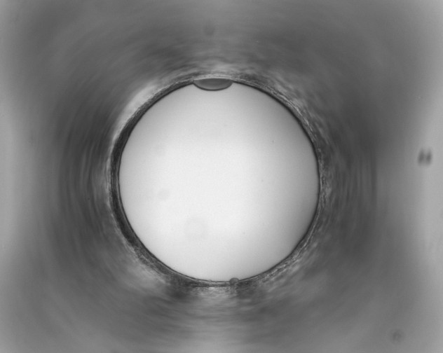 X0000090740102200708101711