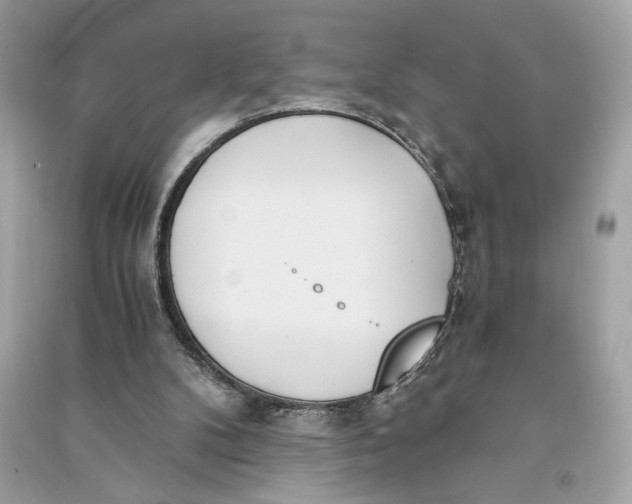 X0000090740104200708101711