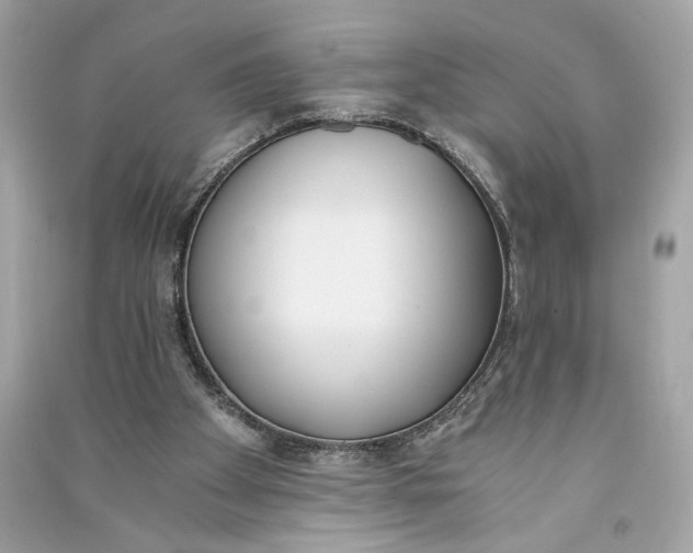 X0000090740105200708101711