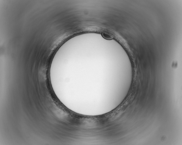 X0000090740106200708101711