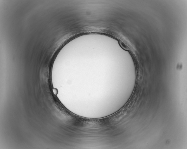 X0000090740107200708101711