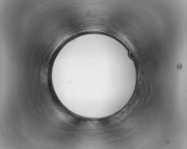 X0000090740108200708101711