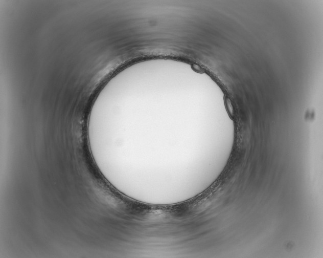 X0000090740111200708101711