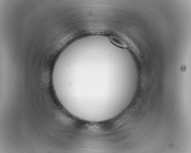 X0000090740113200708101711