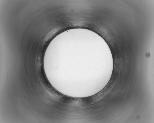 X0000090740116200708101711