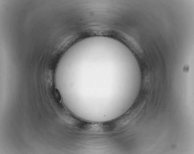 X0000090740121200708101711