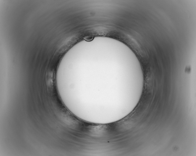 X0000090740122200708101711