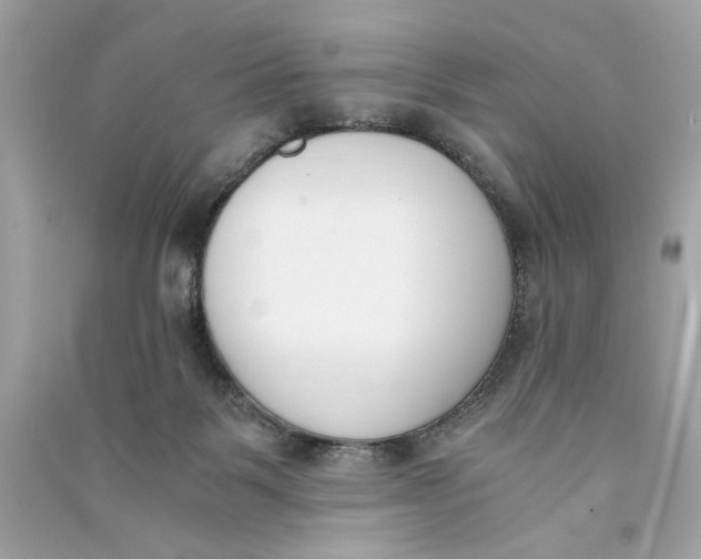 X0000090740123200708101711