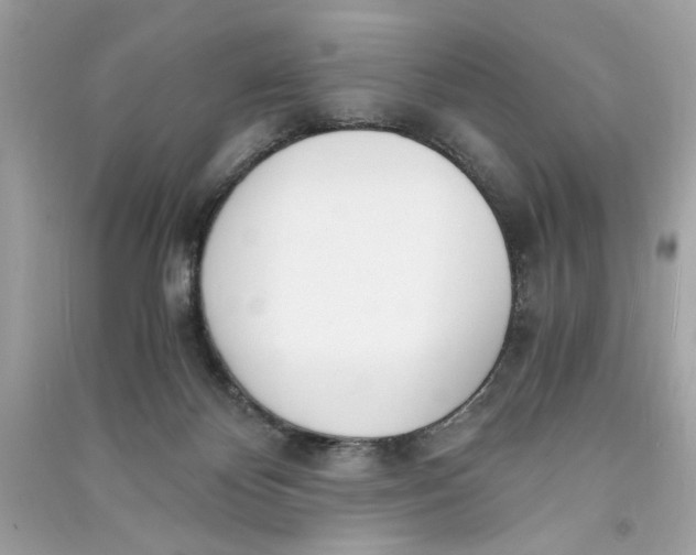 X0000090740124200708101711