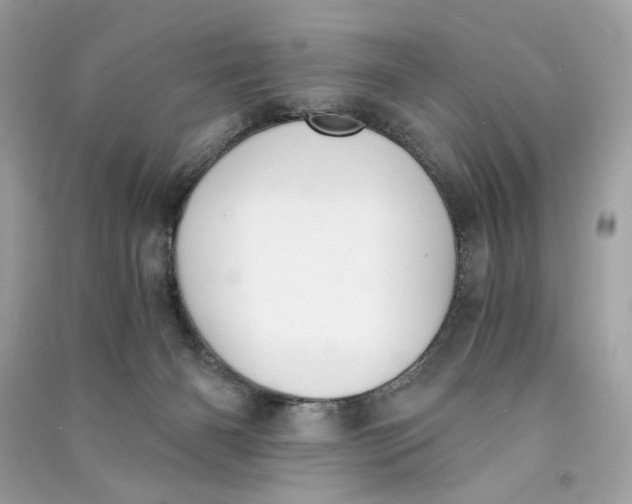 X0000090740126200708101711