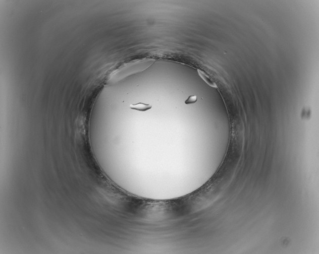 X0000090740127200708101711