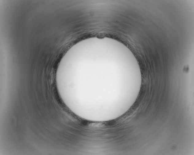 X0000090740133200708101711