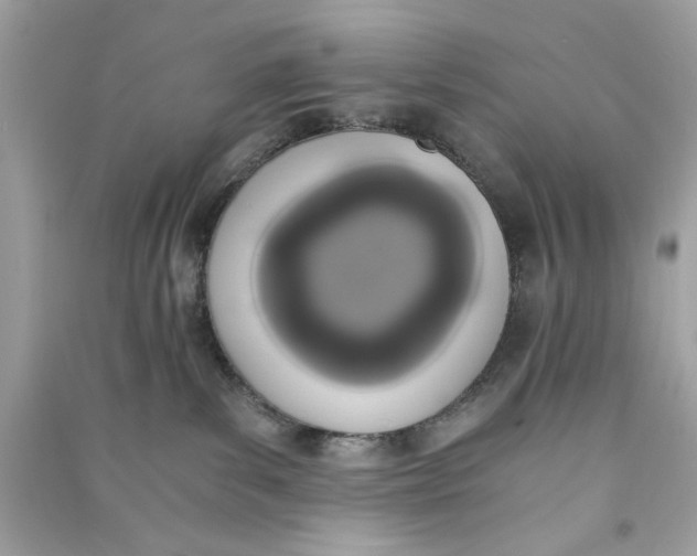 X0000090740139200708101711