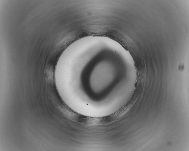 X0000090740143200708101711