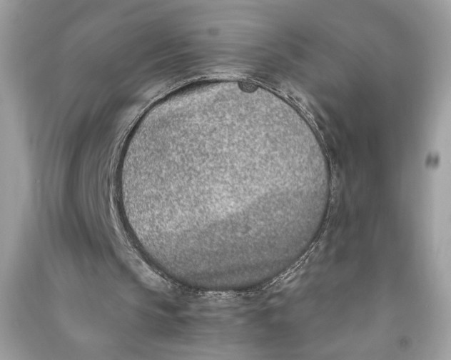 X0000090740145200708101710