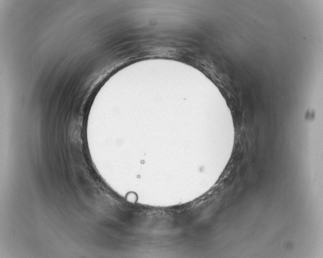 X0000090740146200708101710