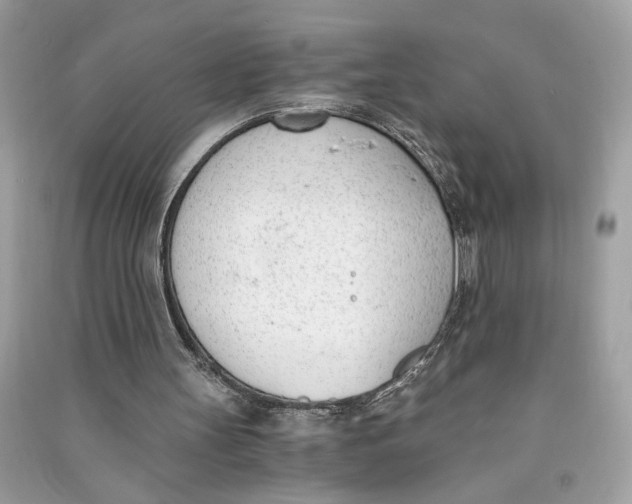 X0000090740147200708101710