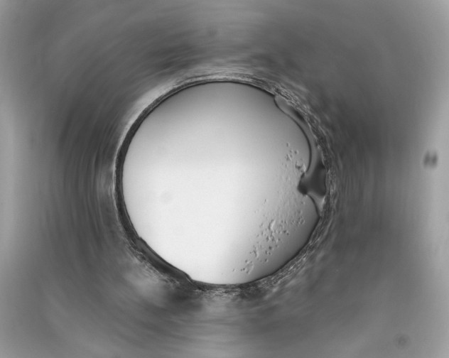 X0000090740148200708101710