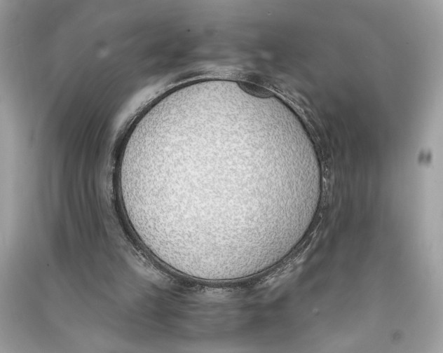 X0000090740149200708101710