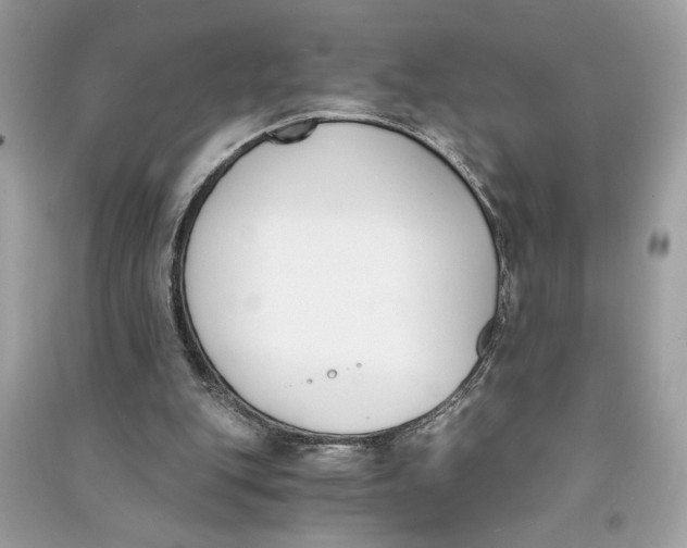 X0000090740151200708101710