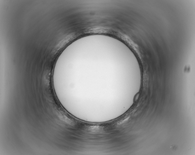 X0000090740153200708101710