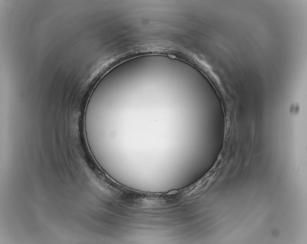 X0000090740154200708101710