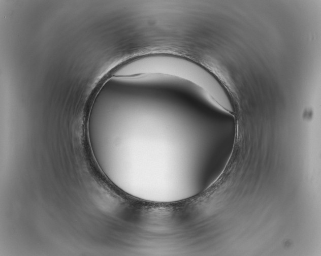 X0000090740156200708101710