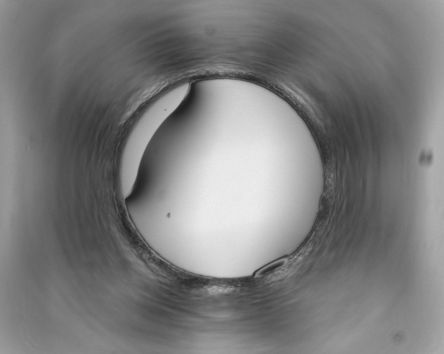 X0000090740158200708101710