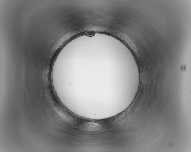 X0000090740159200708101710