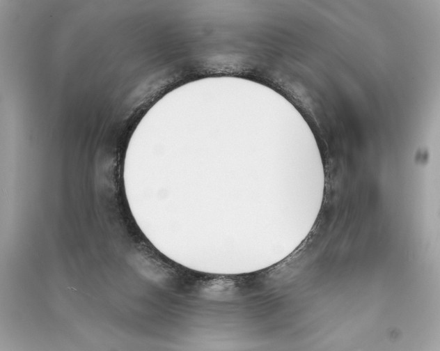 X0000090740162200708101710