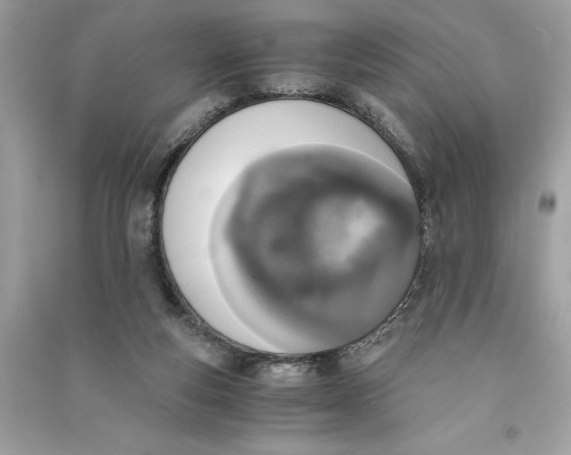 X0000090740163200708101710