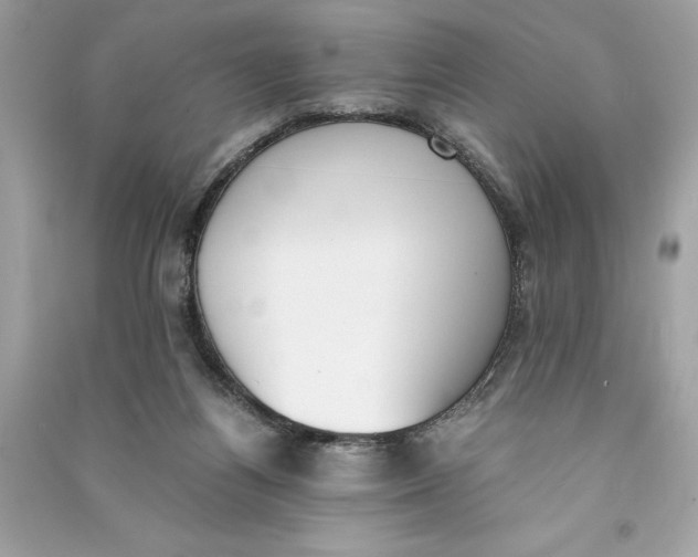 X0000090740164200708101710