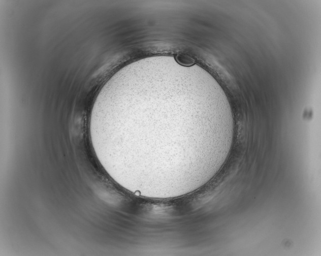 X0000090740165200708101710