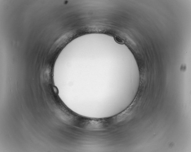 X0000090740166200708101710