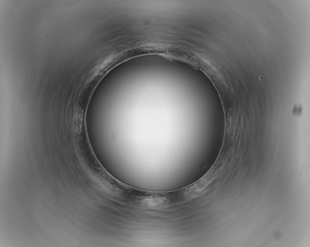 X0000090740168200708101710