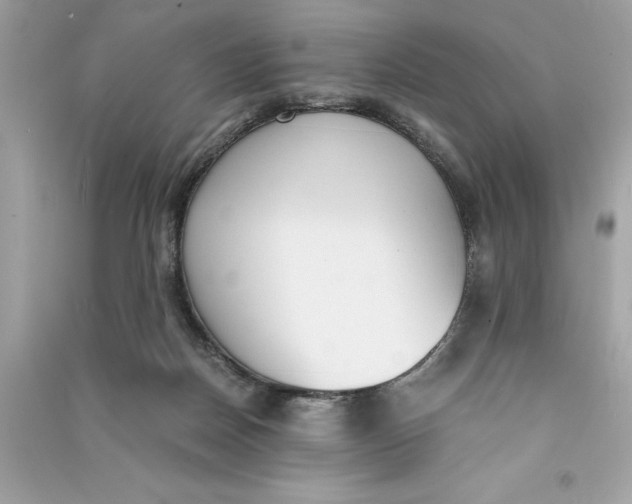 X0000090740170200708101710