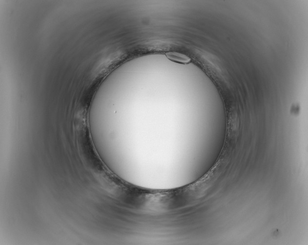 X0000090740172200708101710