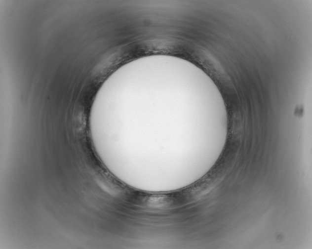 X0000090740173200708101710