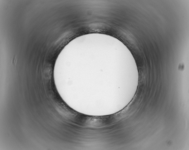 X0000090740174200708101710