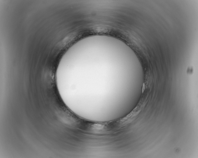 X0000090740176200708101710