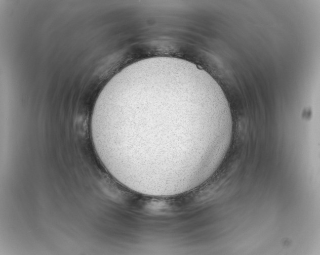 X0000090740177200708101710