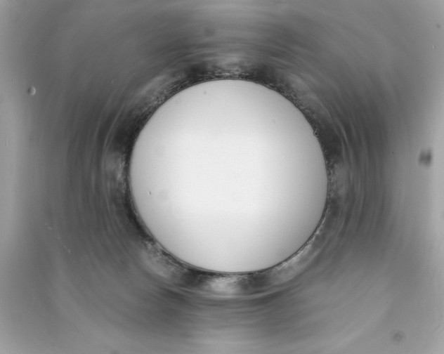 X0000090740178200708101710