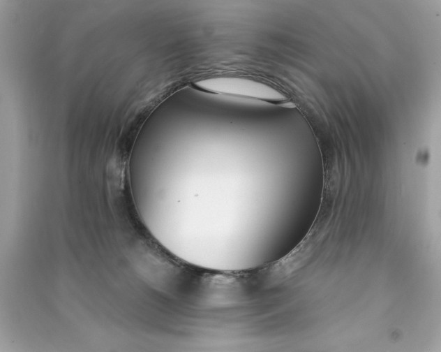 X0000090740180200708101710