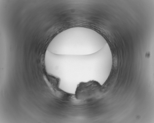 X0000090740181200708101710