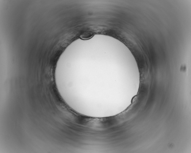 X0000090740182200708101710